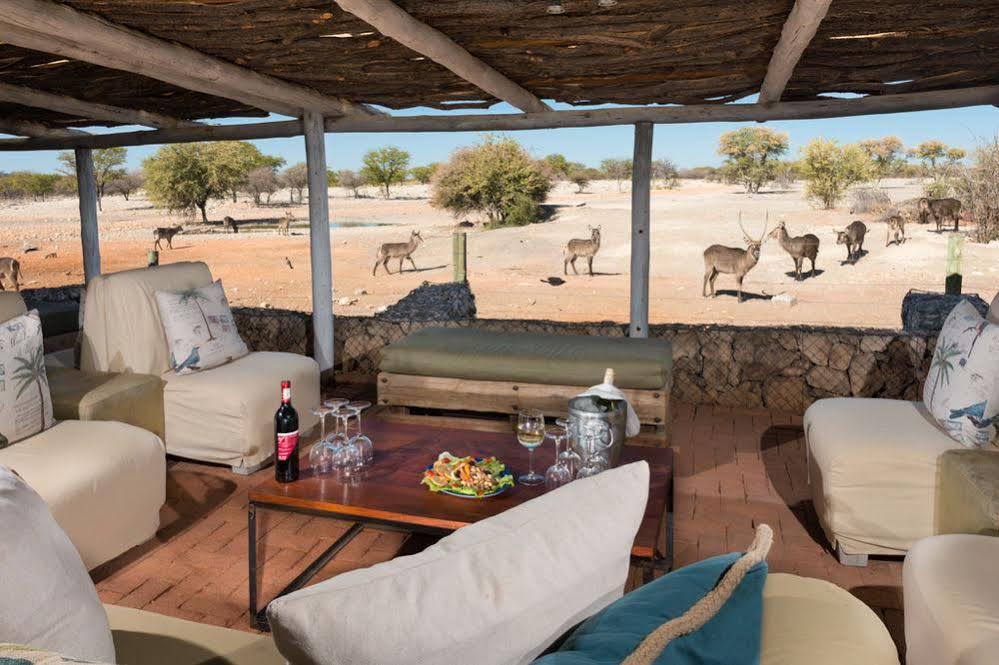 Hotel Anderssons Camp à Okaukuejo Extérieur photo